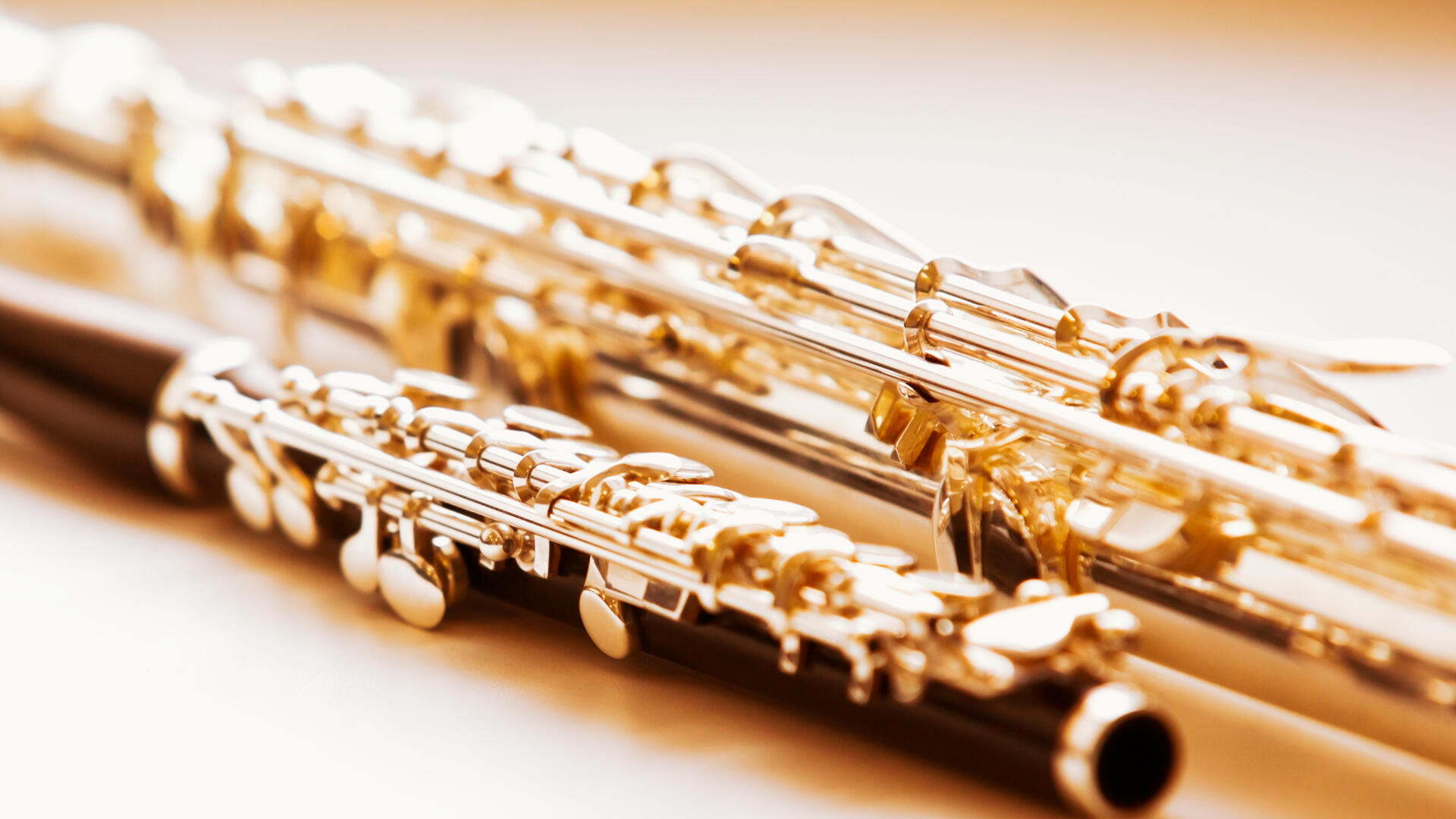 Flute and piccolo laying side by side.